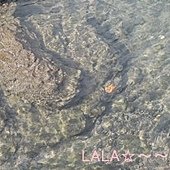 DSCN0038.JPG