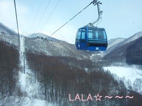 20160208_095619.jpg