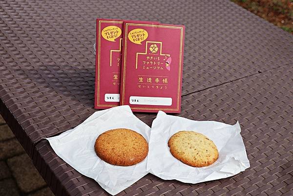 （茨城旅遊）茨城兩天一夜小旅行！花海絕景＆華麗海鮮＆星級蒙布