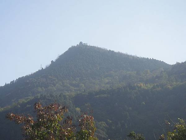 DSC02474.JPG