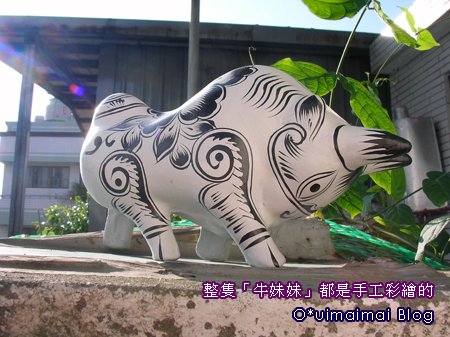 SANY0103.jpg