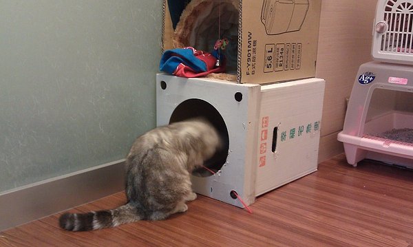 IMAG0483.jpg