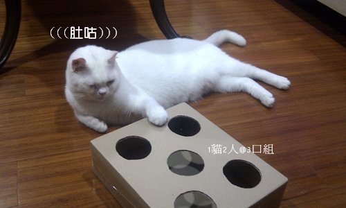 IMAG0004