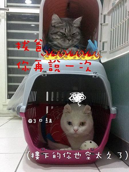 IMAG0395