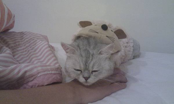 IMAG0540.jpg
