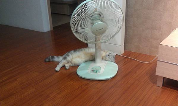 IMAG0999.jpg