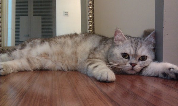 IMAG0480.jpg