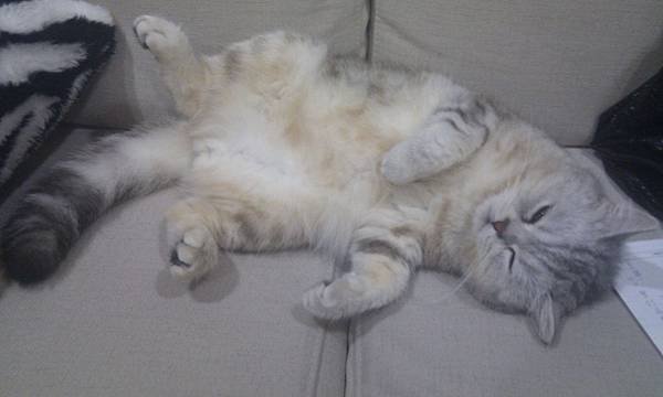 IMAG0060.jpg