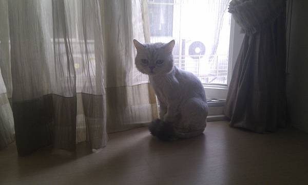 IMAG0470.jpg