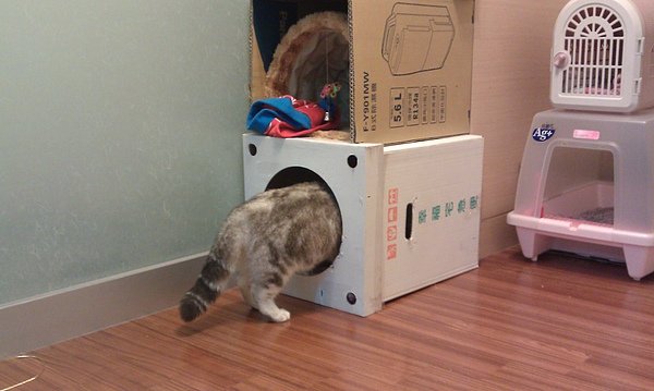 IMAG0482.jpg