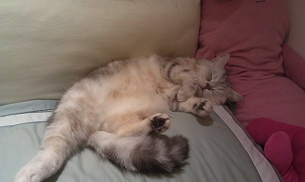 IMAG0765.jpg
