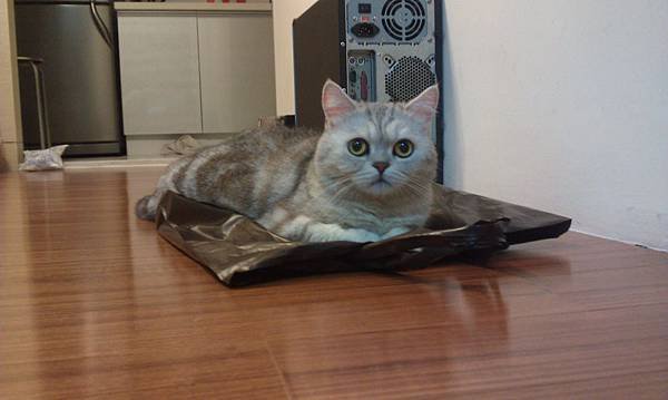 IMAG0907.jpg