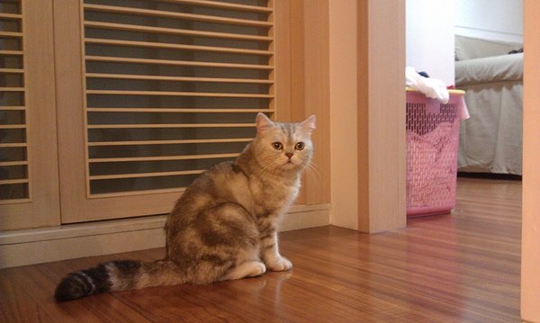IMAG0236.jpg