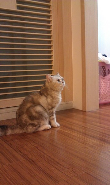 IMAG0237.jpg