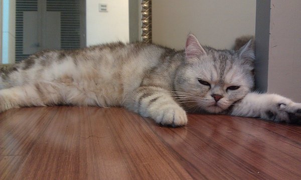 IMAG0478.jpg