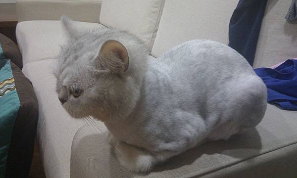 IMAG0528.jpg