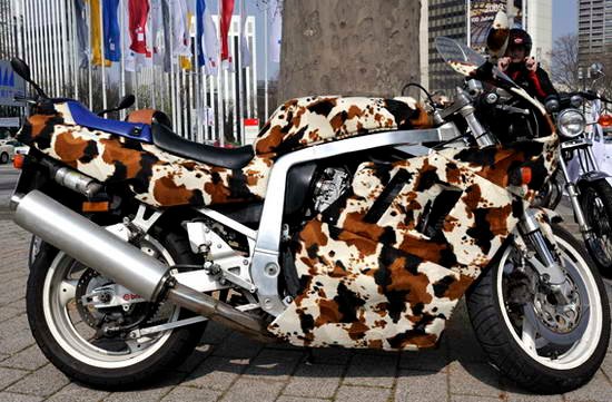 Custom-Paint-Sportsbike-21.jpg