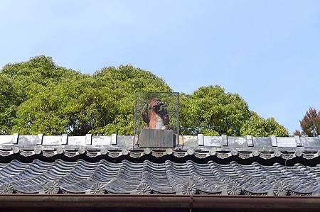 P1050435