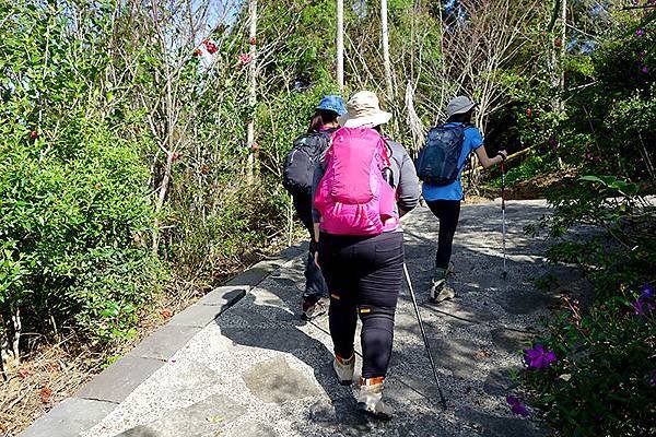 005從梅峰古道登山口進入.JPG