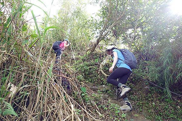 022剩最後一小段路嚕！已經可見頂峰上的陽光了.JPG