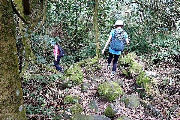 030下山取道“伍龍步道”，首先經過一小段滿佈青苔的岩石路.JPG