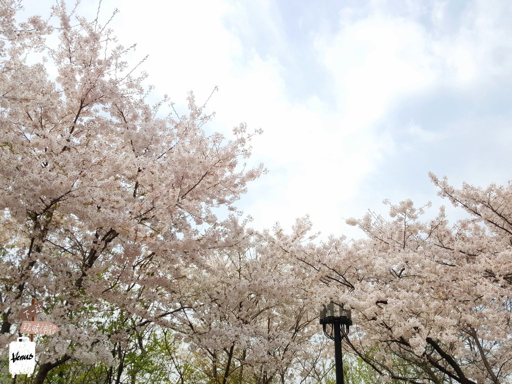 南山公園.jpg