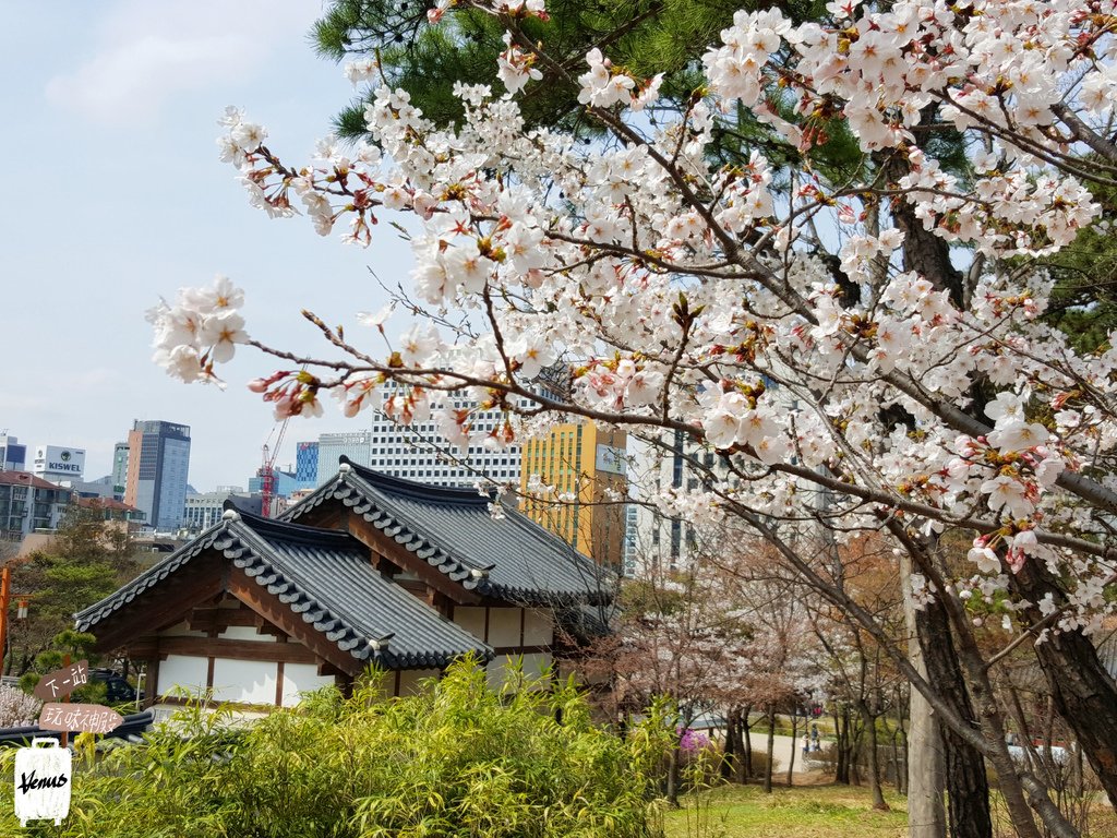 南山谷韓屋村.jpg