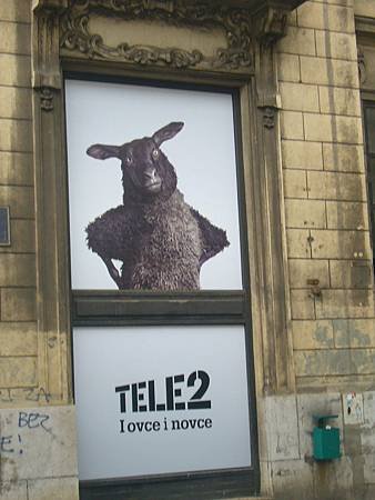P1110870.JPG
