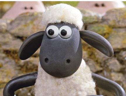 shaun 01.JPG