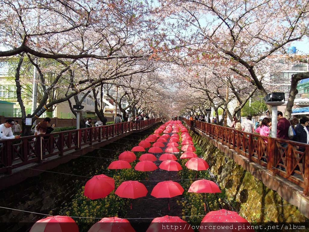 DSCN9736.JPG