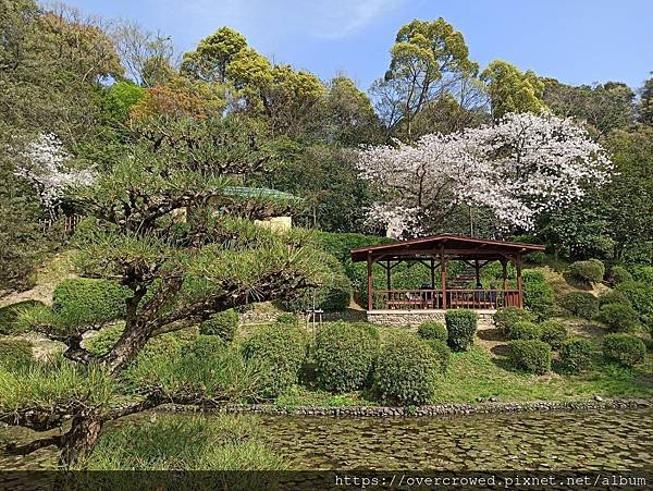 2024/4/10四國愛媛松山：萬翠莊、道後公園、道後溫泉(