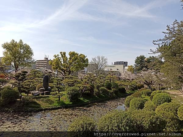 2024/4/10四國愛媛松山：萬翠莊、道後公園、道後溫泉(