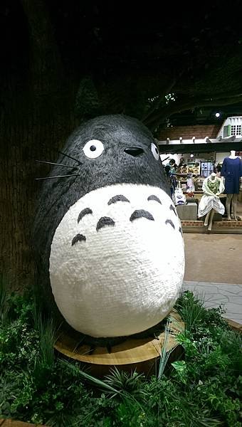 IMAG0783.jpg