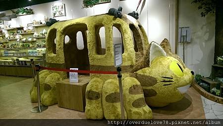 IMAG0792.jpg