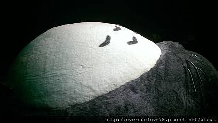 IMAG0796.jpg
