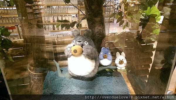 IMAG0798.jpg