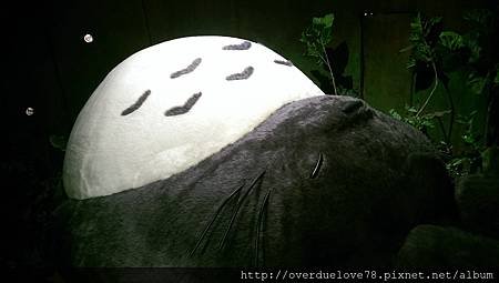 IMAG0804.jpg
