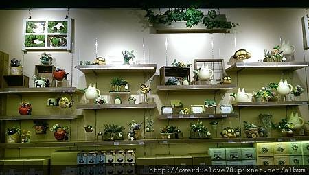 IMAG0809.jpg