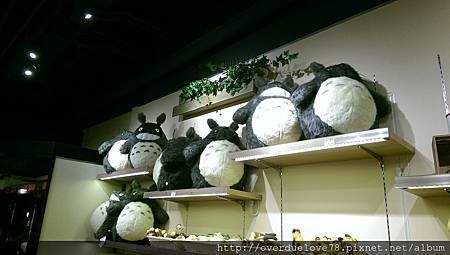 IMAG0810.jpg