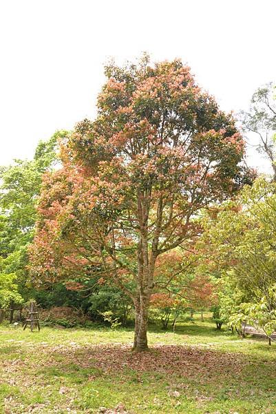 福山植物園