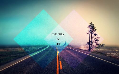 the way of life