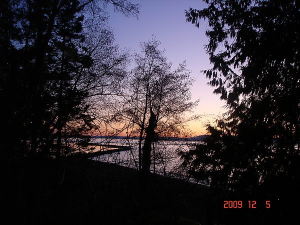 DSC08785.JPG