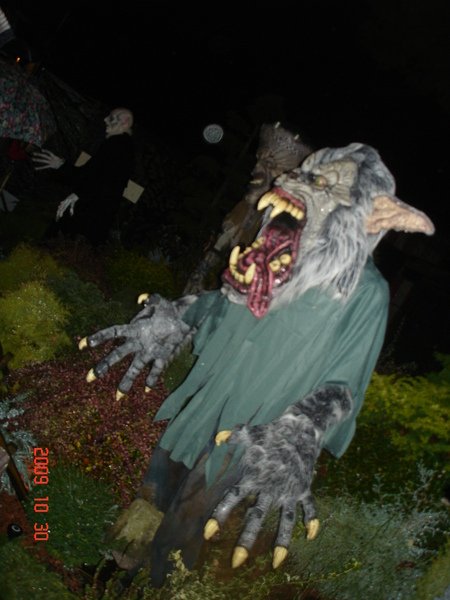 DSC07846.JPG