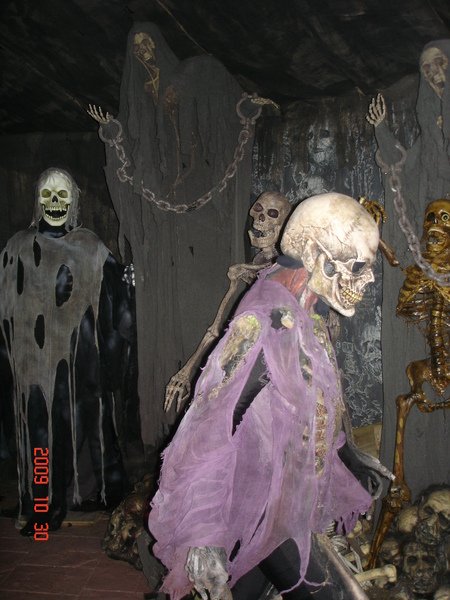 DSC07854.JPG