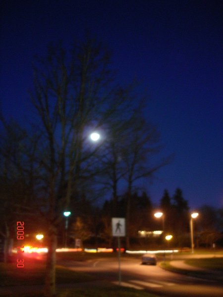 DSC08526.JPG