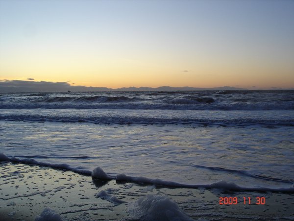 DSC08480.JPG