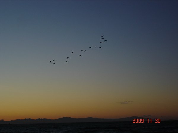 DSC08488.JPG