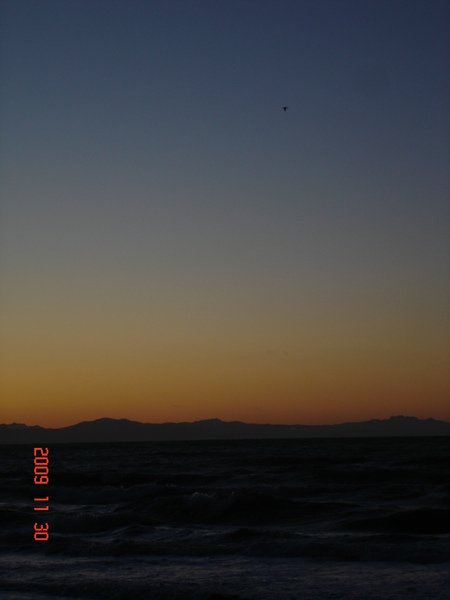 DSC08500.JPG