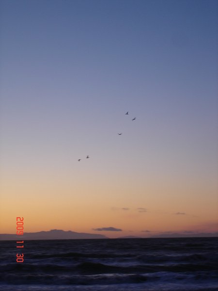 DSC08509.JPG