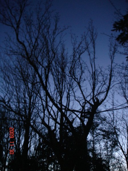 DSC08523.JPG
